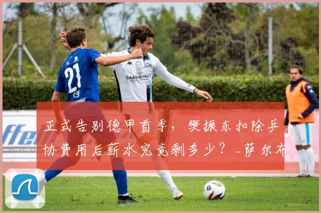 正式告别德甲首季，樊振东扣除乒协费用后薪水究竟剩多少？_萨尔布吕肯_收入_国乒