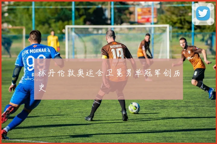 林丹伦敦奥运会卫冕男单冠军创历史