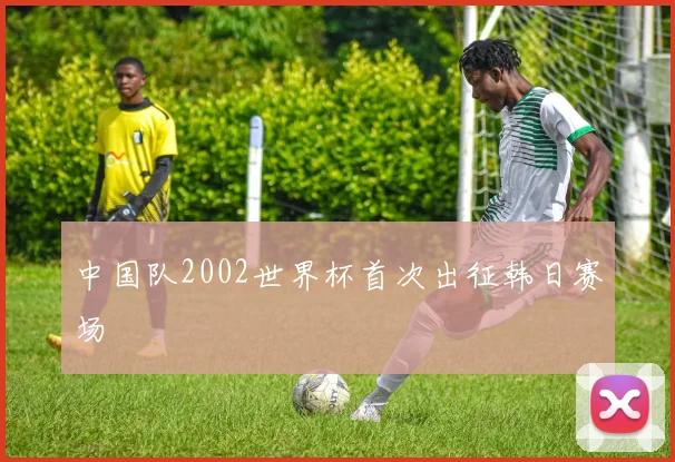 中国队2002世界杯首次出征韩日赛场